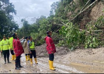 Peninjauan lokasi longsor di