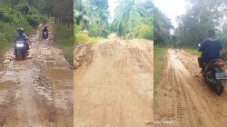 Jalan Rusak Parah, Warga Desak Pemerintah Turun Tangan  